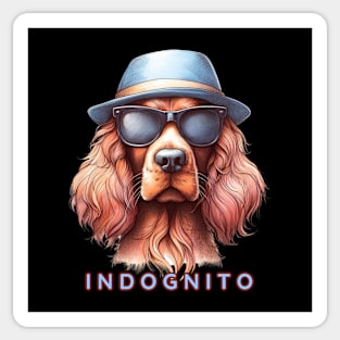 Irish Setter Indognito Sticker